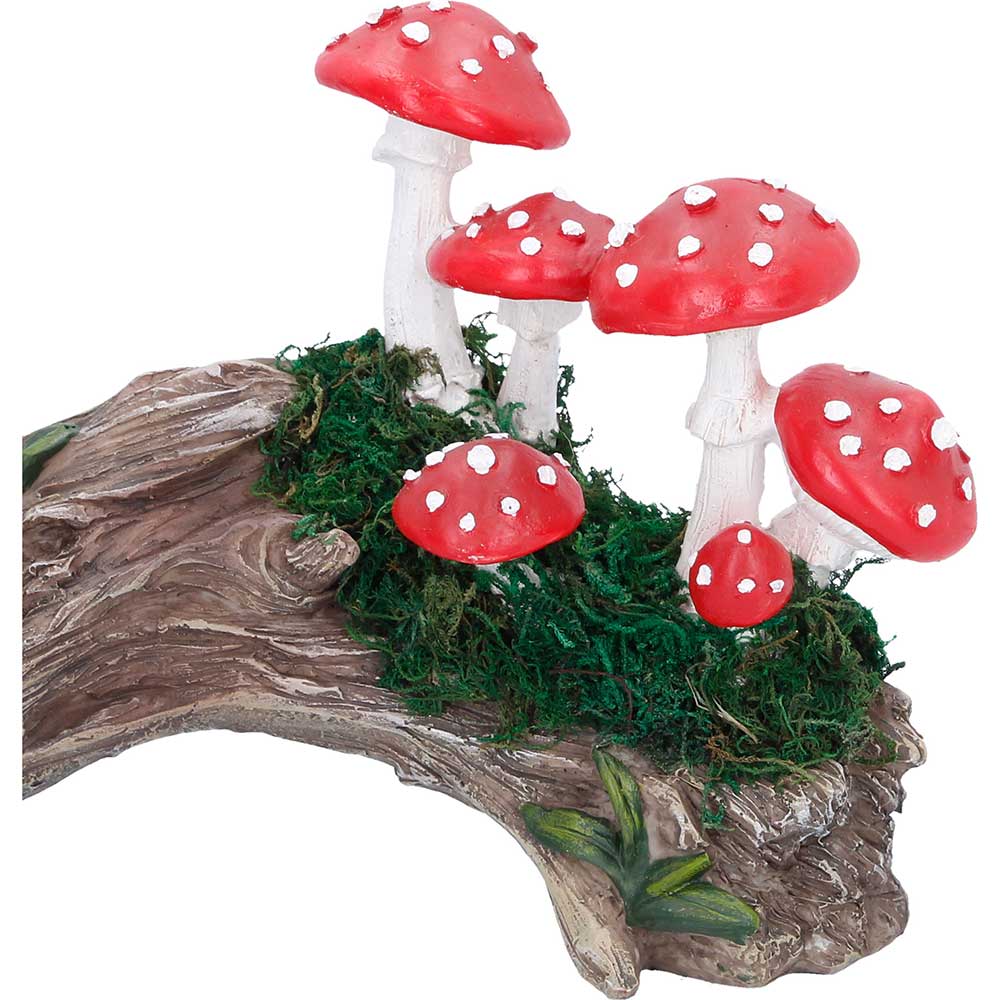 Toadstool Trunk. 23.7cm