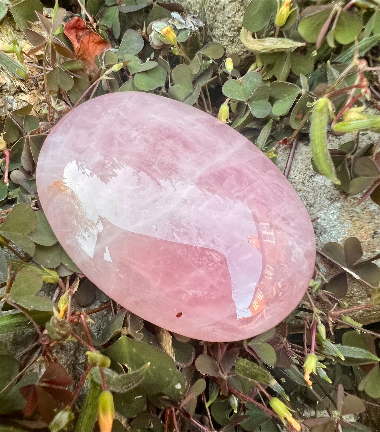 Rose Quartz Palm Stone