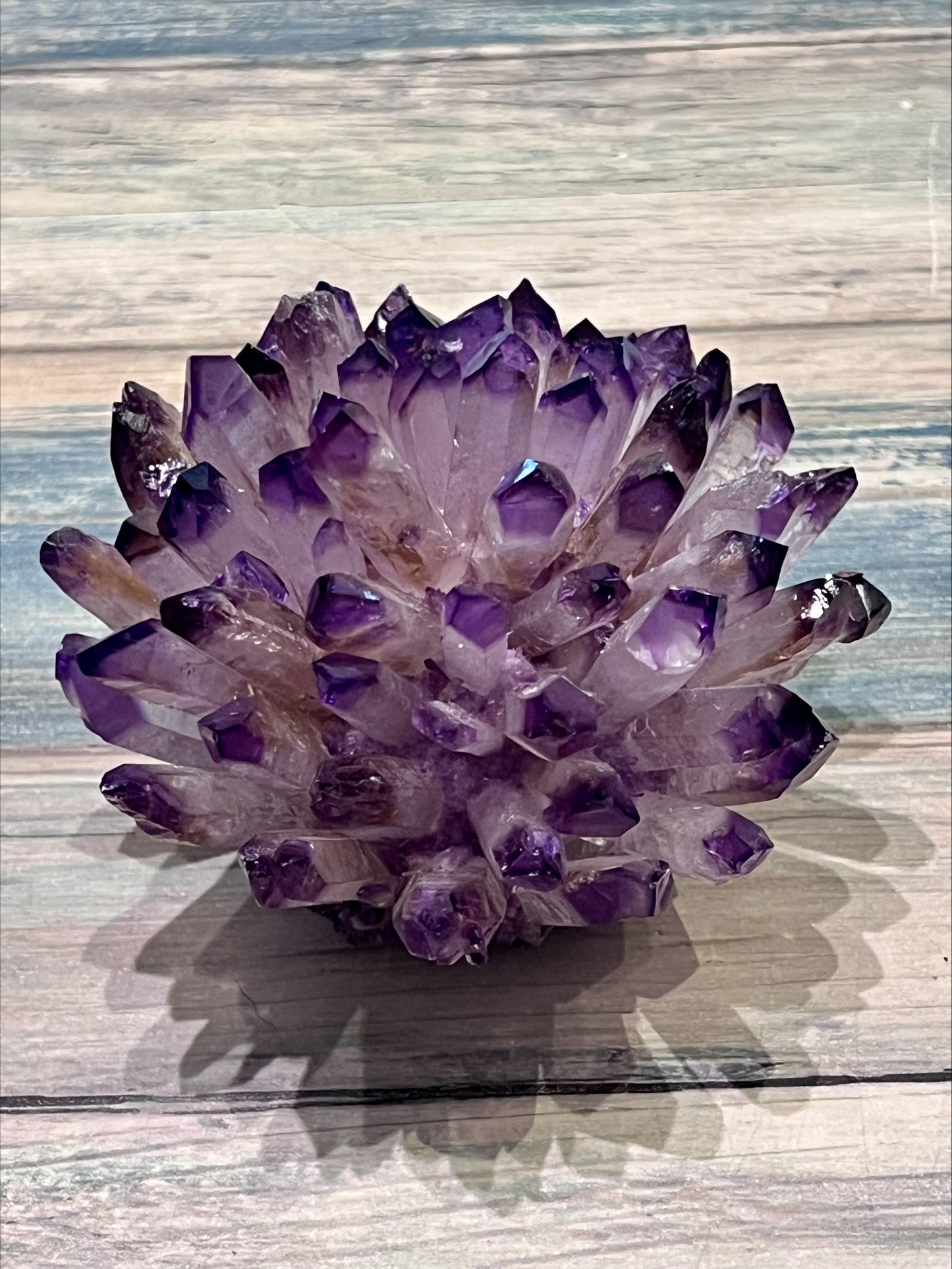 Amethyst Pine