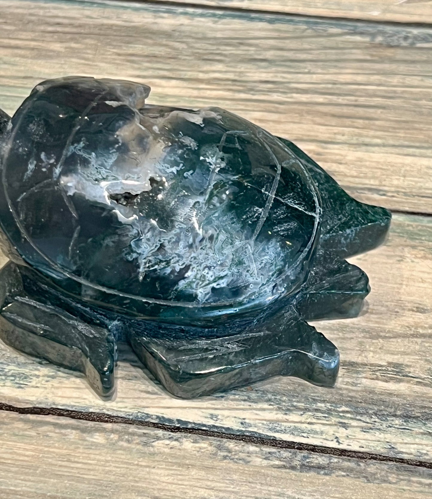 Moss Agate Turtle