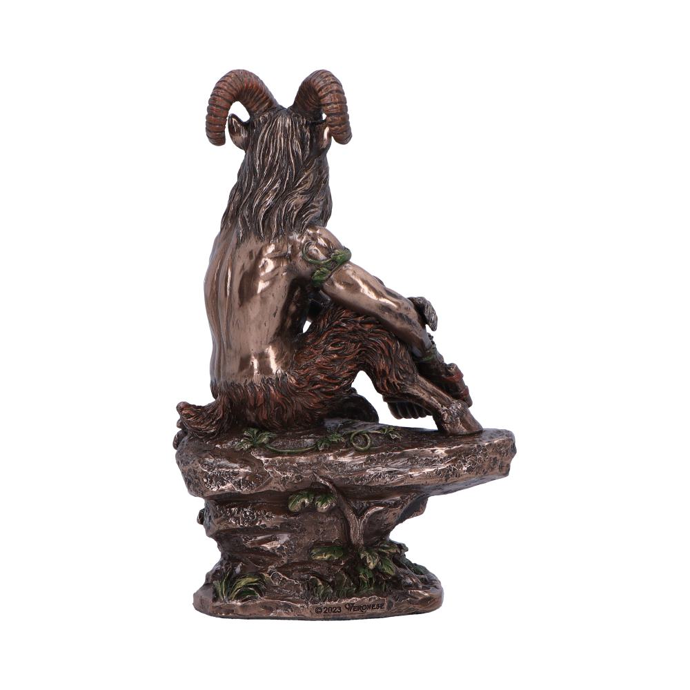 Pan medium. 15cm