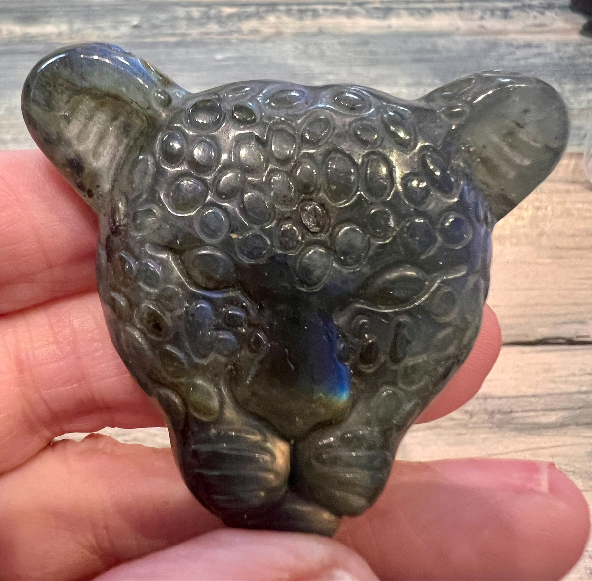 Labradorite Leopard Head
