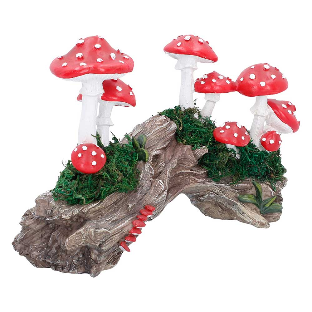 Toadstool Trunk. 23.7cm