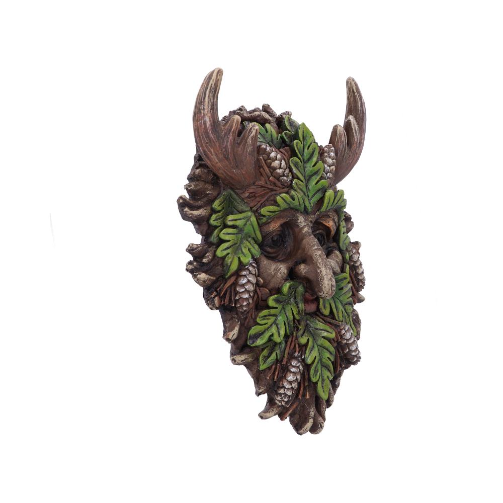 Tawnya Wall Mounted Tree Spirit 28.8cm
