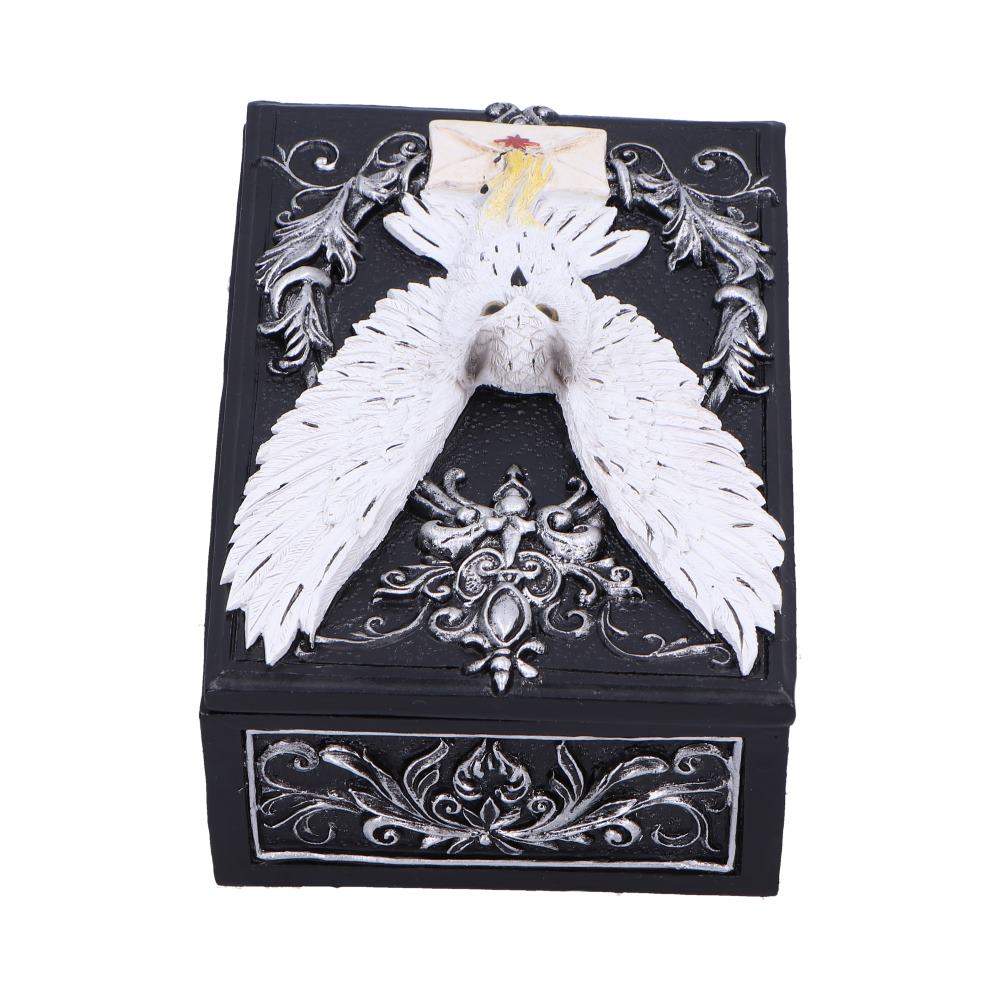 Owl Messenger Box 14cm