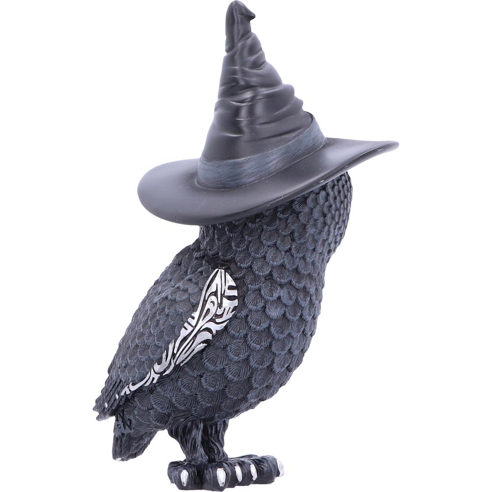 Cult Cutie - Owlocen 13.5cm