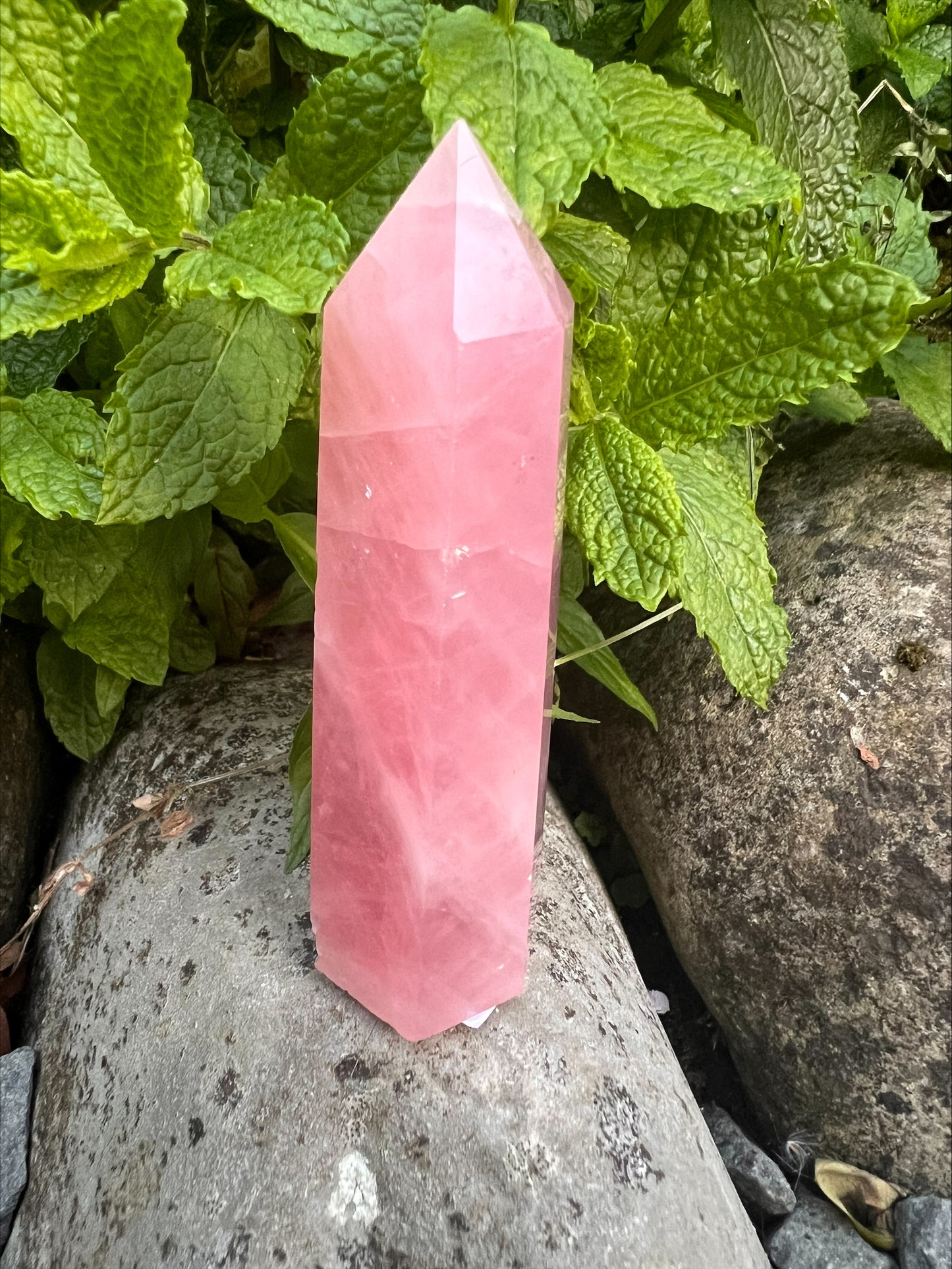 Rose Quartz Tower
