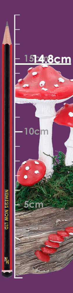 Toadstool Trunk. 23.7cm