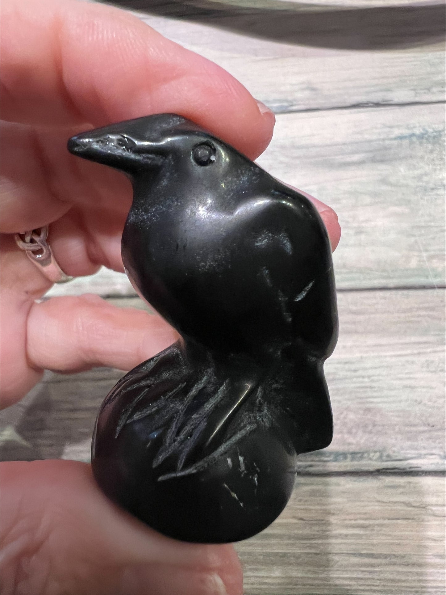 Obsidian Raven
