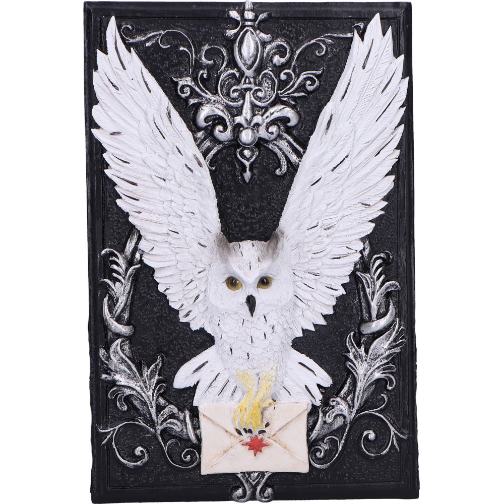 Owl Messenger Box 14cm