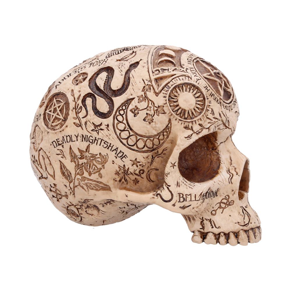 Apothecary Skull 14cm