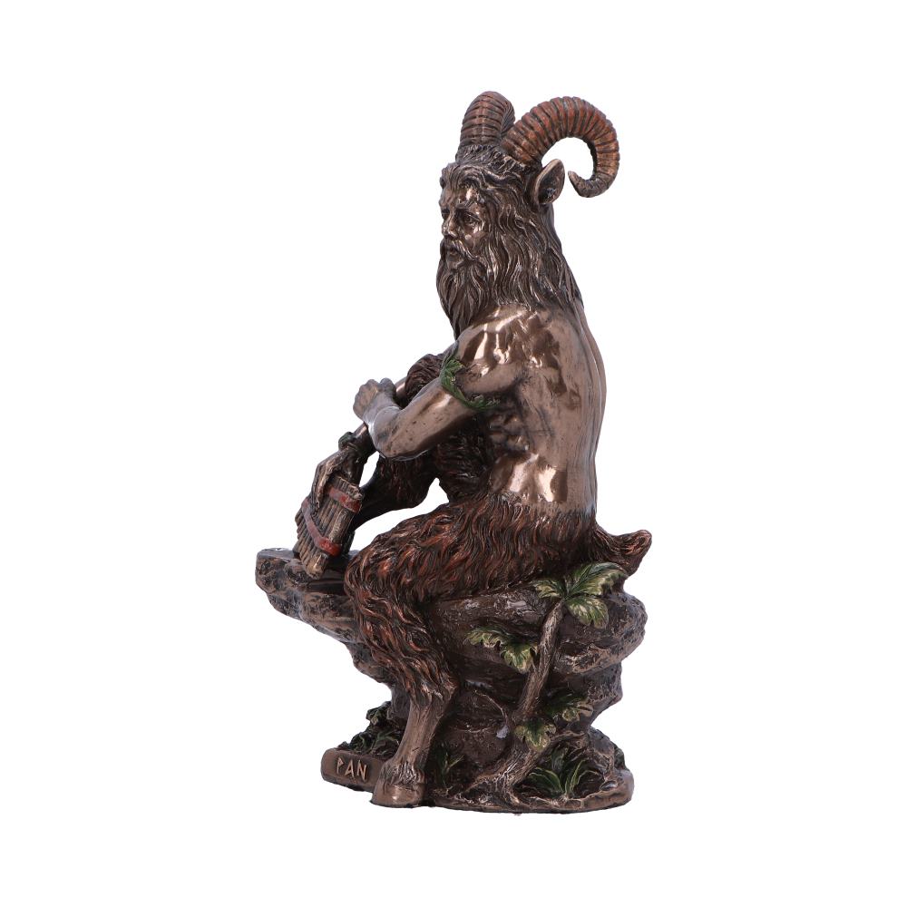 Pan medium. 15cm