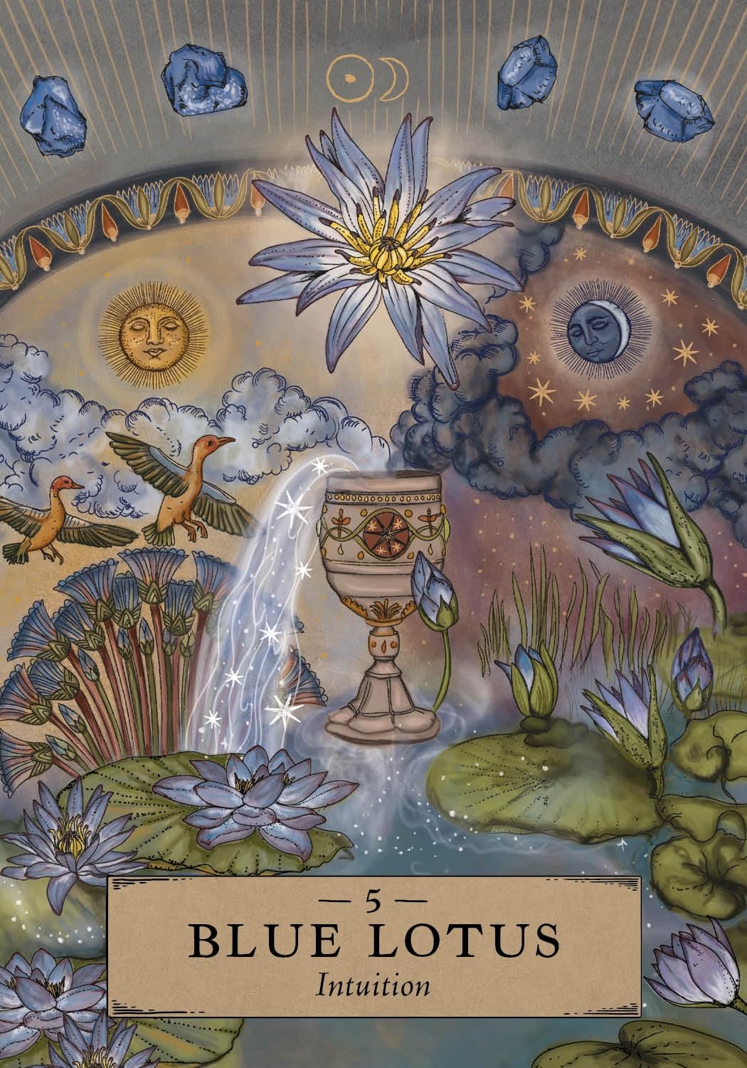 Herbal Astrology