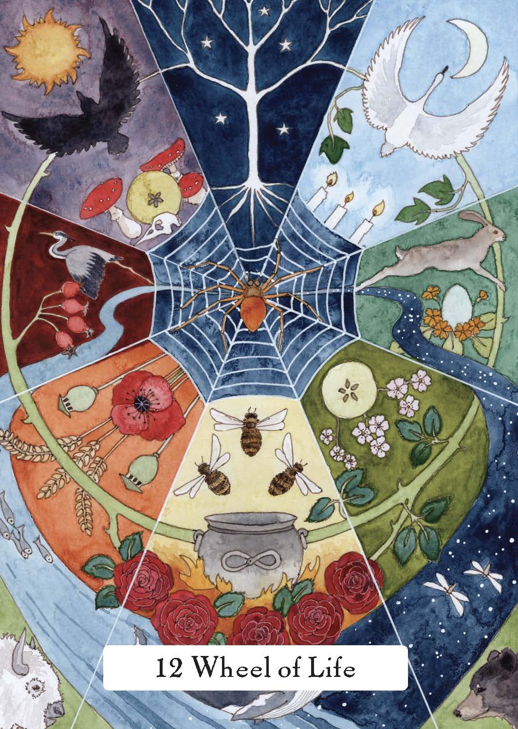 The Witches Wisdom Tarot
