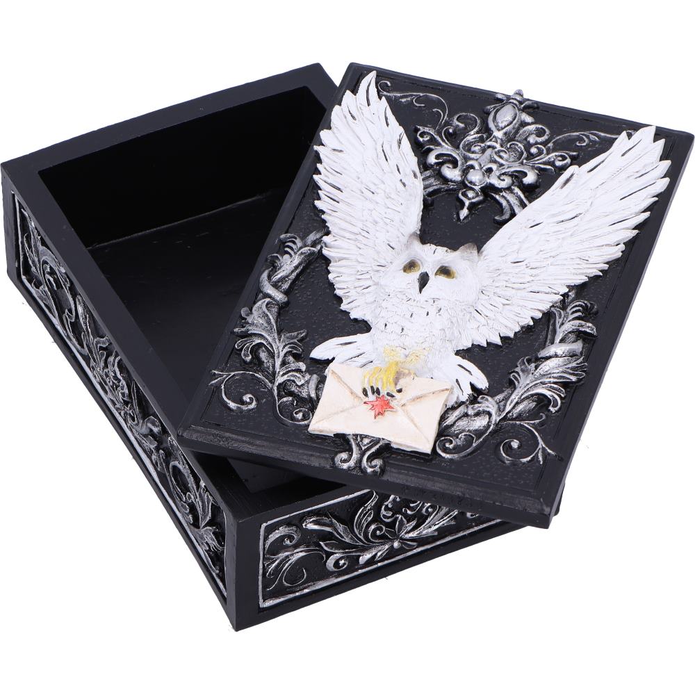 Owl Messenger Box 14cm