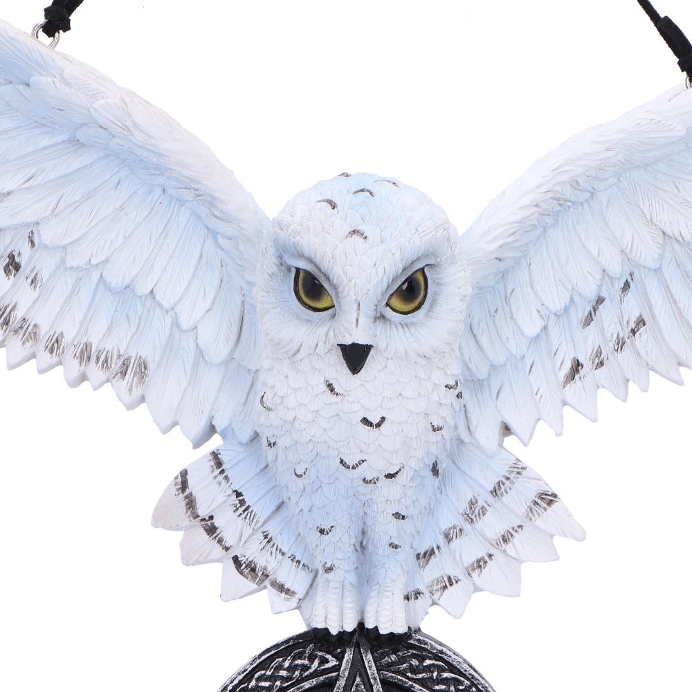 Owl Talisman20.5cm