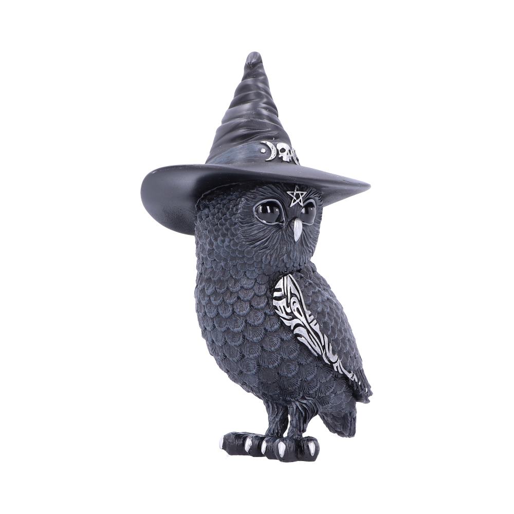 Cult Cutie - Owlocen 13.5cm