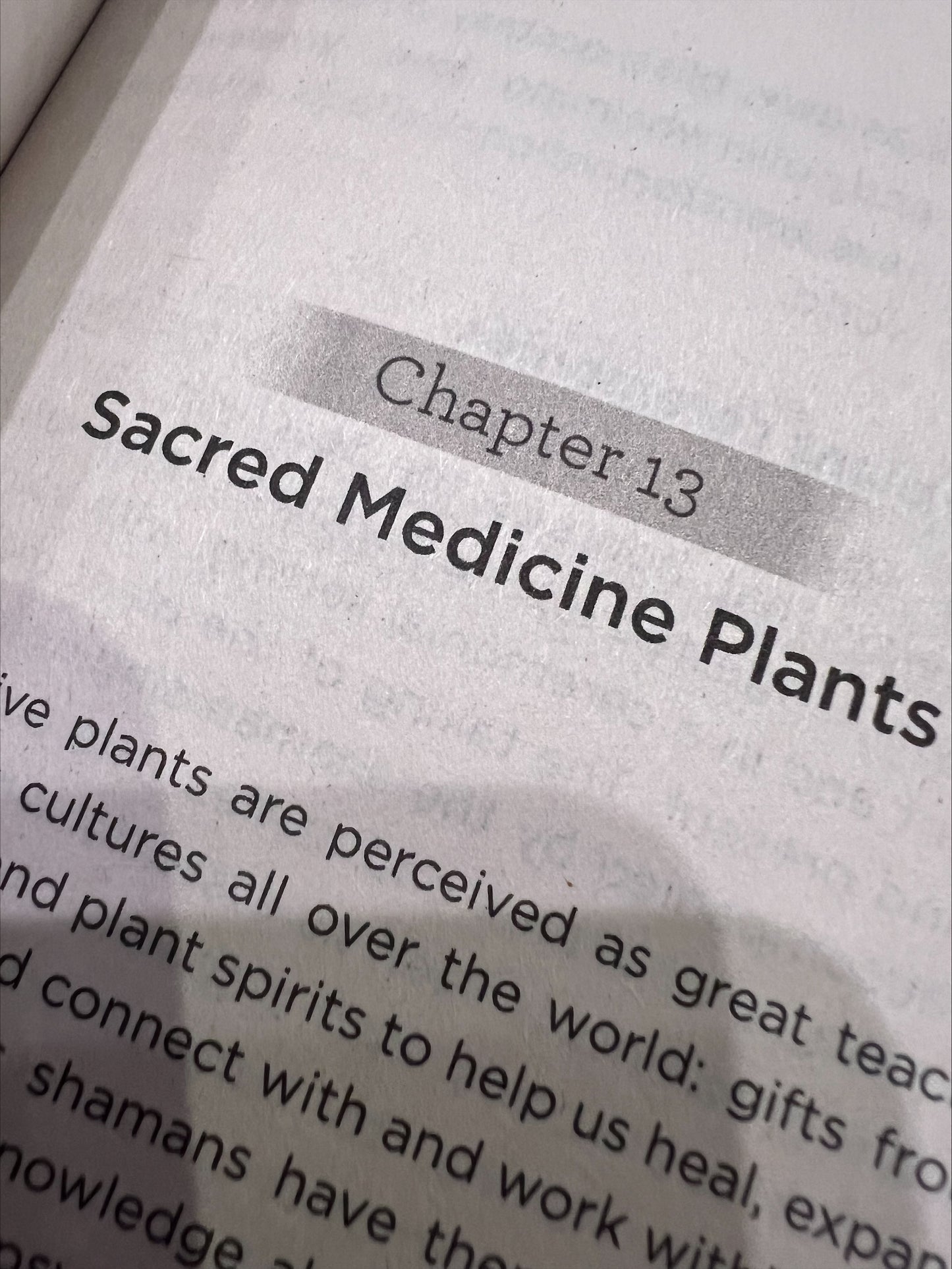 Shamanism Made Easy by Christa Mackinnon