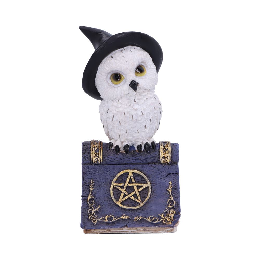 Avian Blue12.5cm
