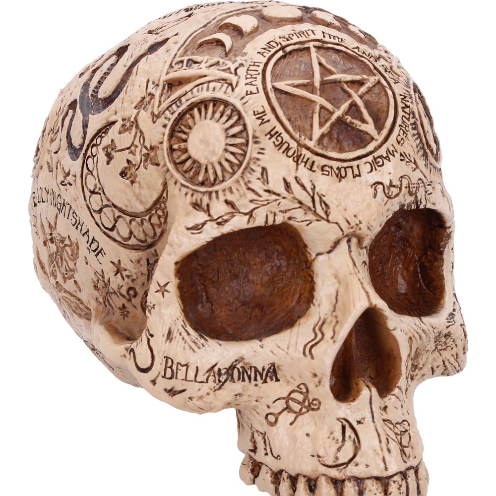 Apothecary Skull 14cm