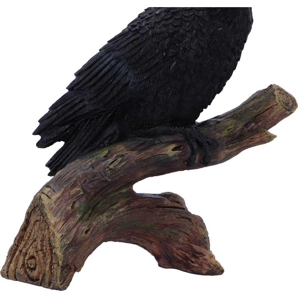 Raven's Perch 20cm