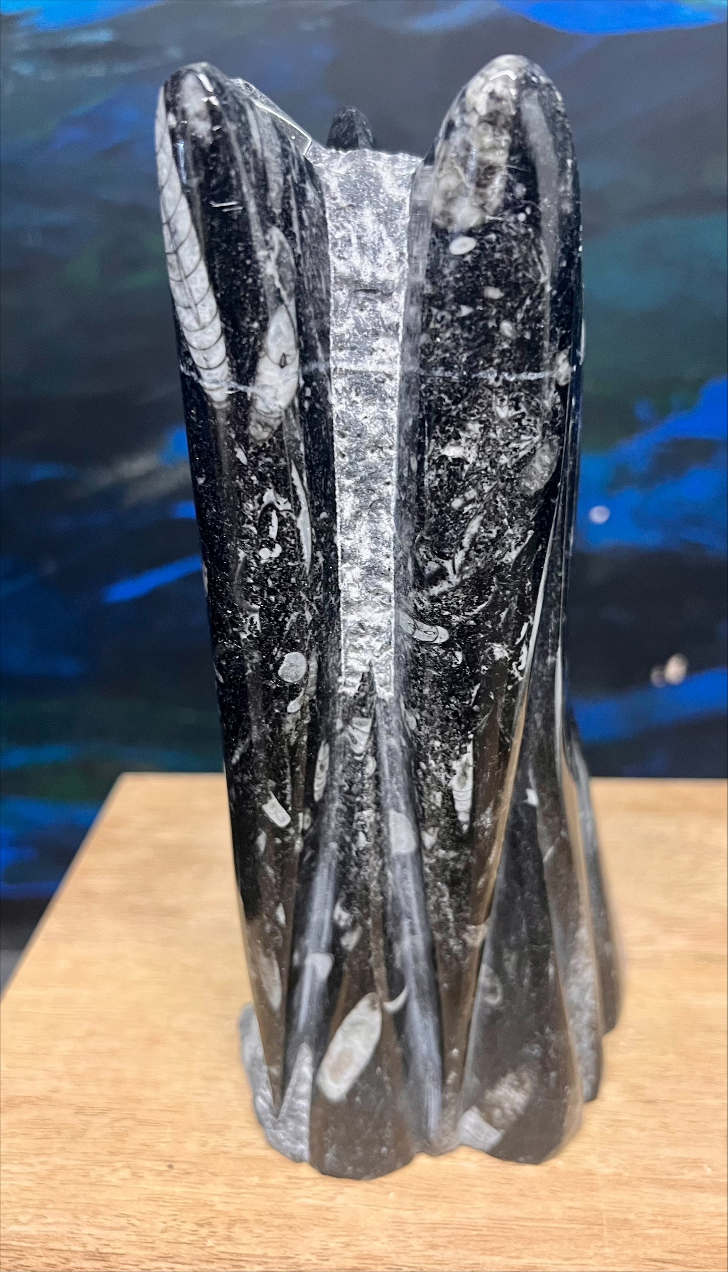 Orthoceras Fossil Sculpture