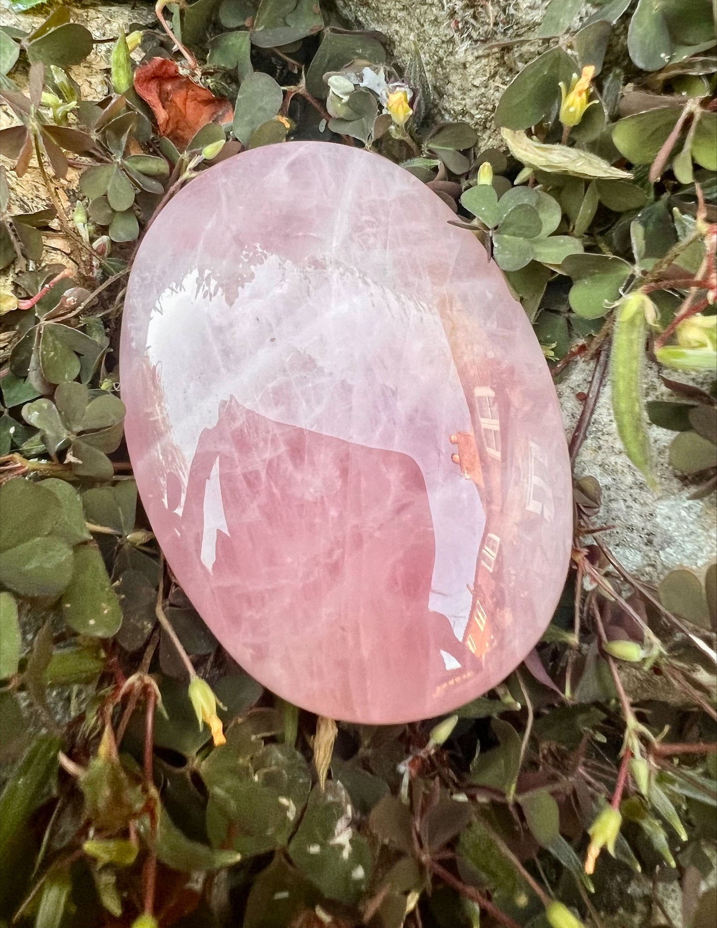 Rose Quartz Palm Stone