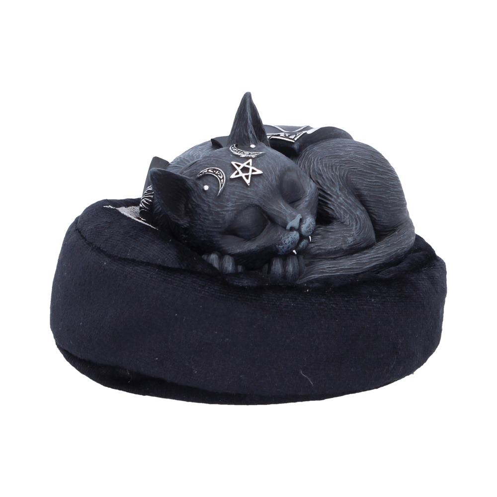 Malpuss Dreams 8.8cm