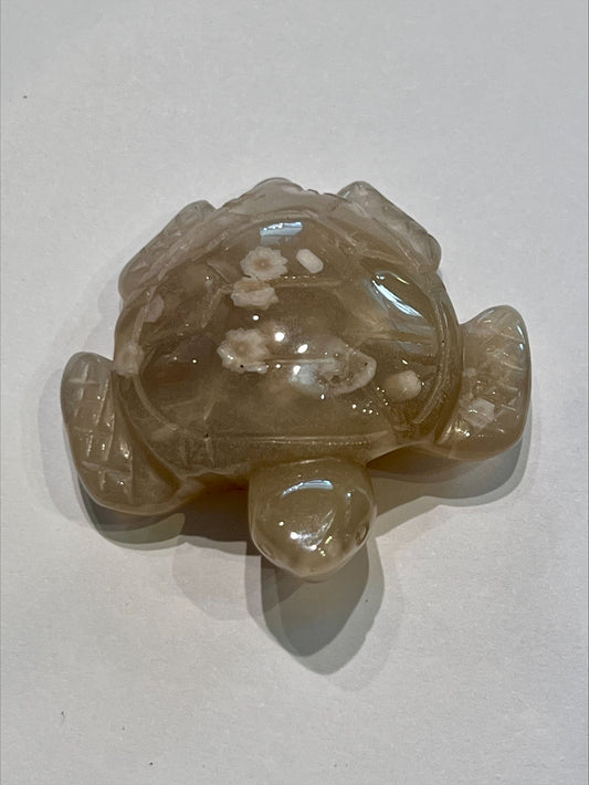 Flower Agate Turtle