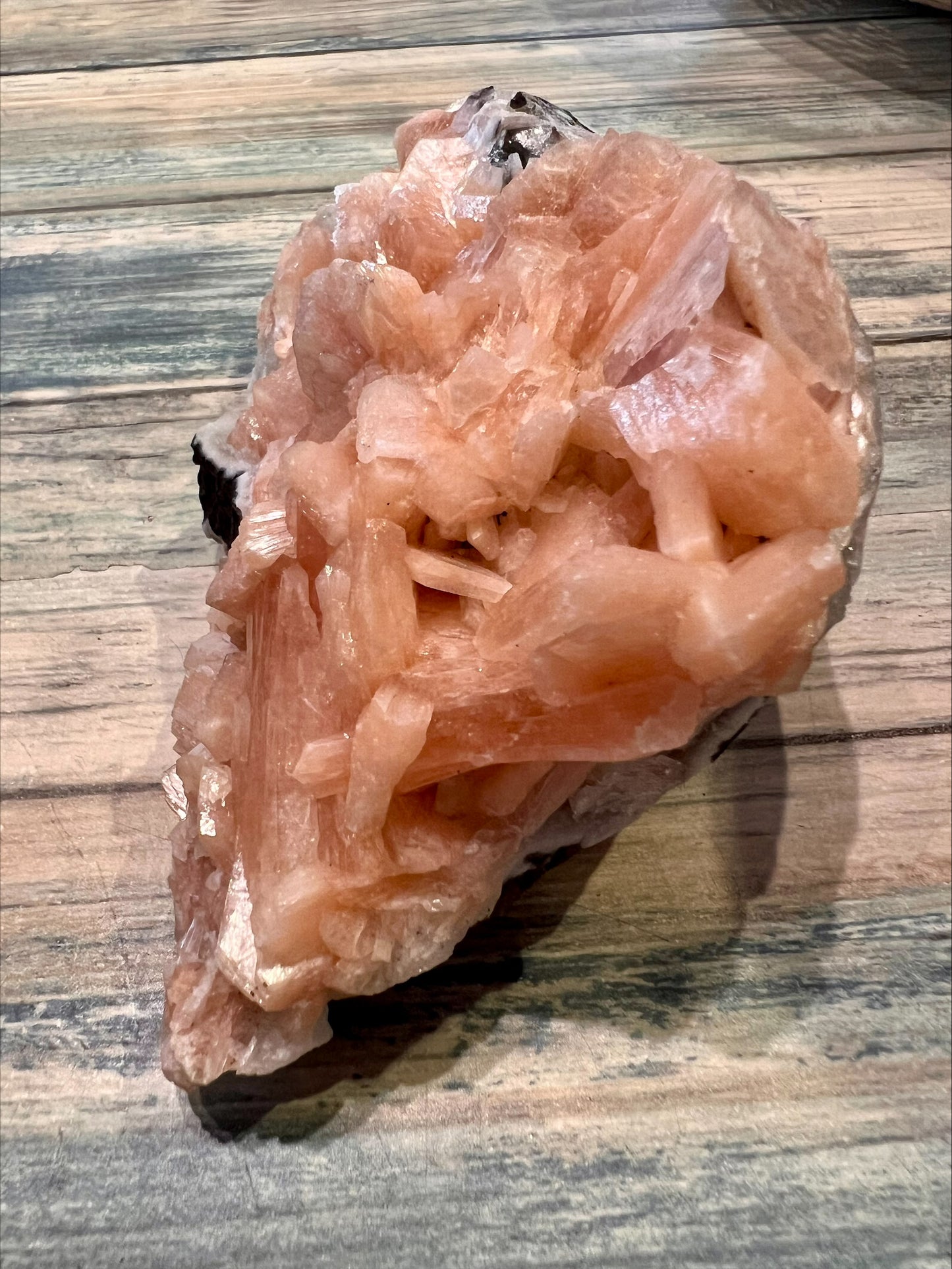 Peach Stillbirth- Raw