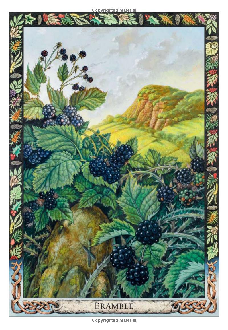 Druid Plant Oracle