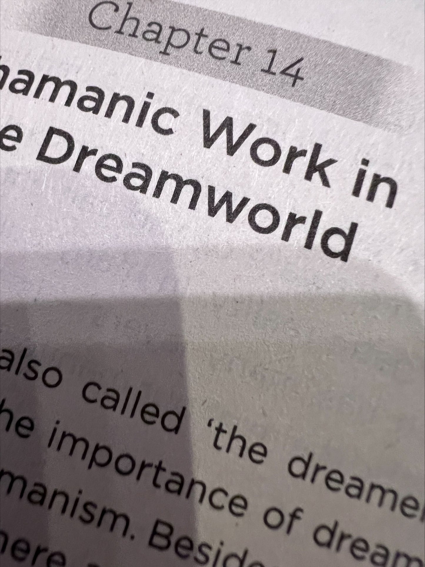 Shamanism Made Easy by Christa Mackinnon