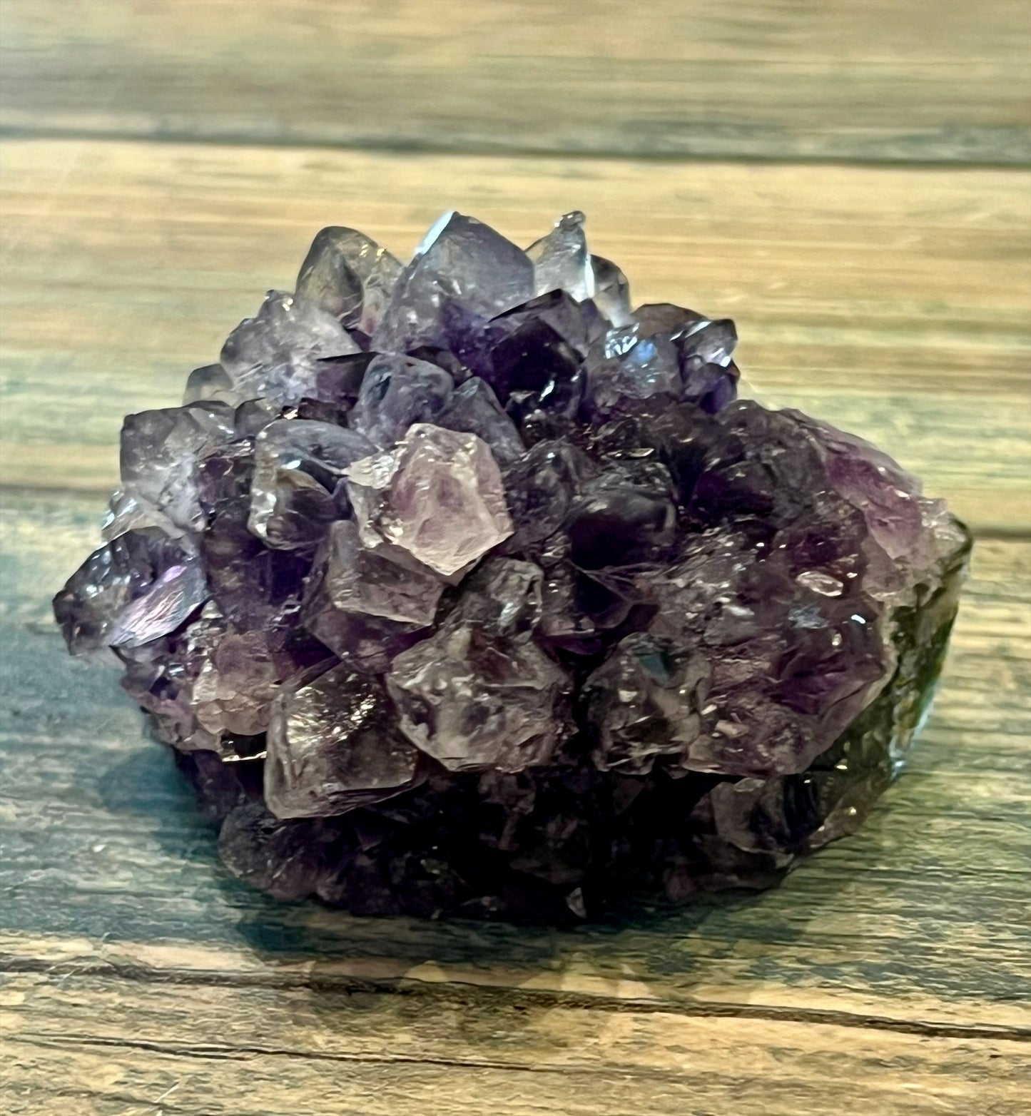 Amethyst Pine