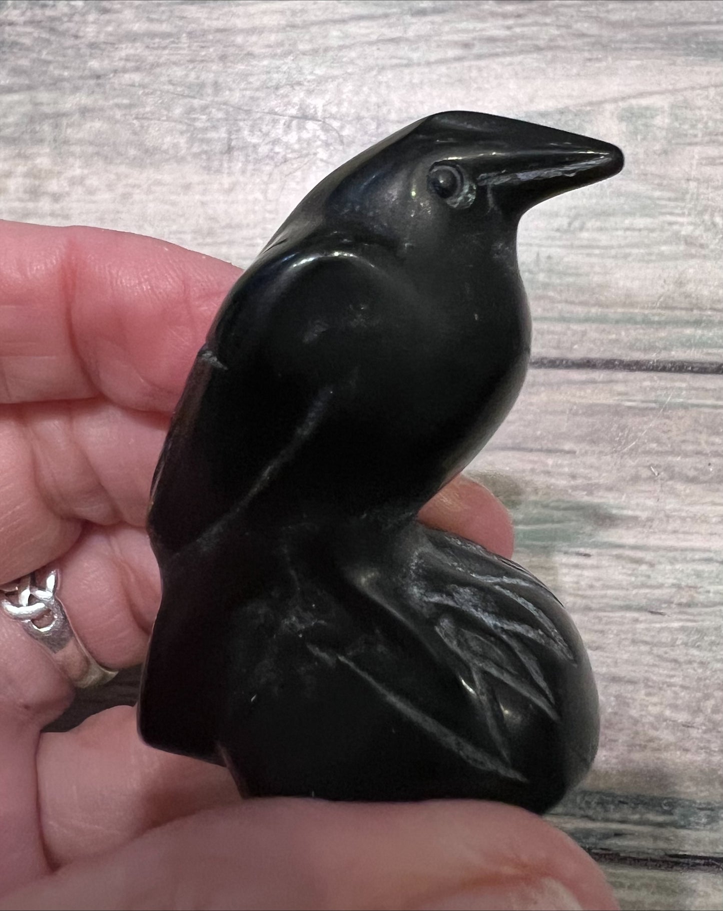 Obsidian Raven