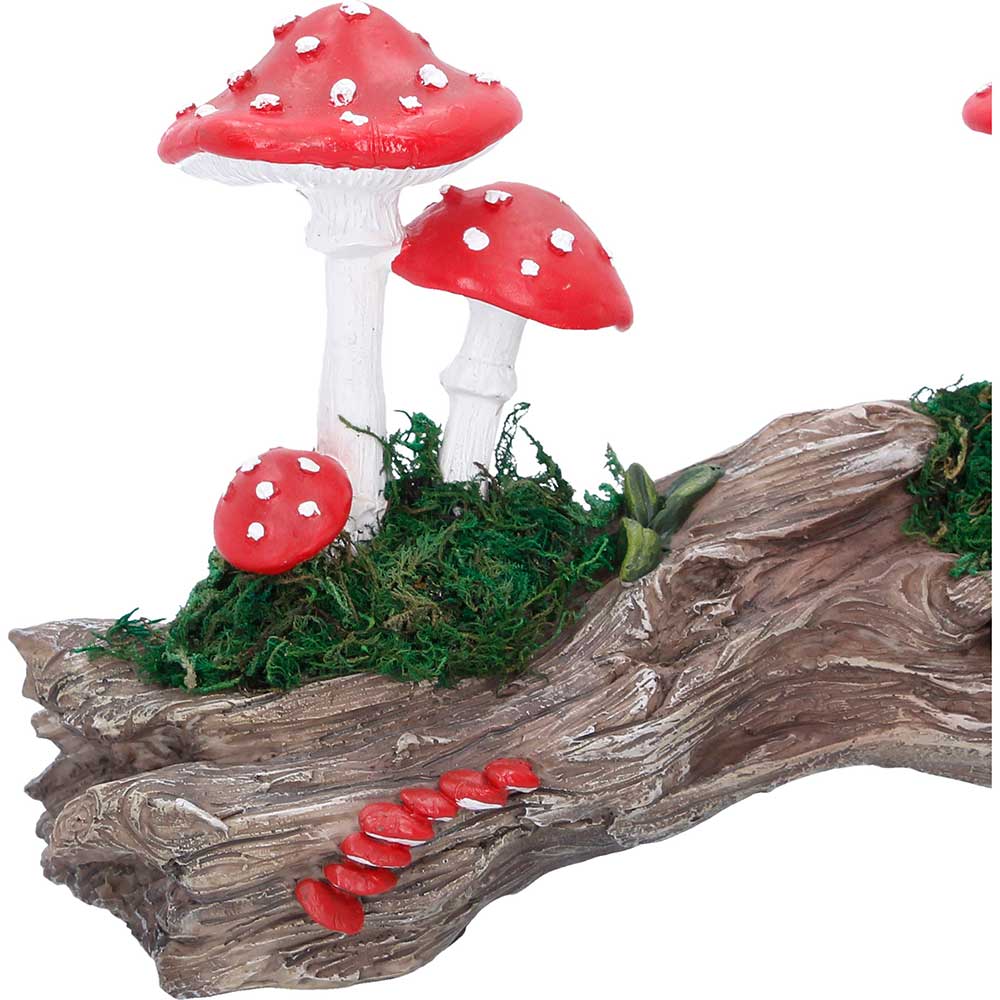 Toadstool Trunk. 23.7cm