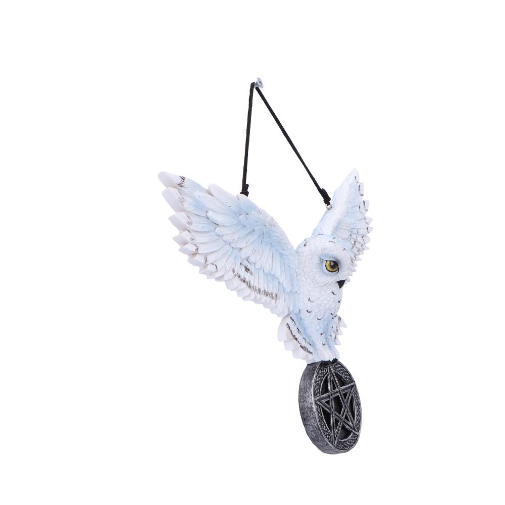 Owl Talisman20.5cm