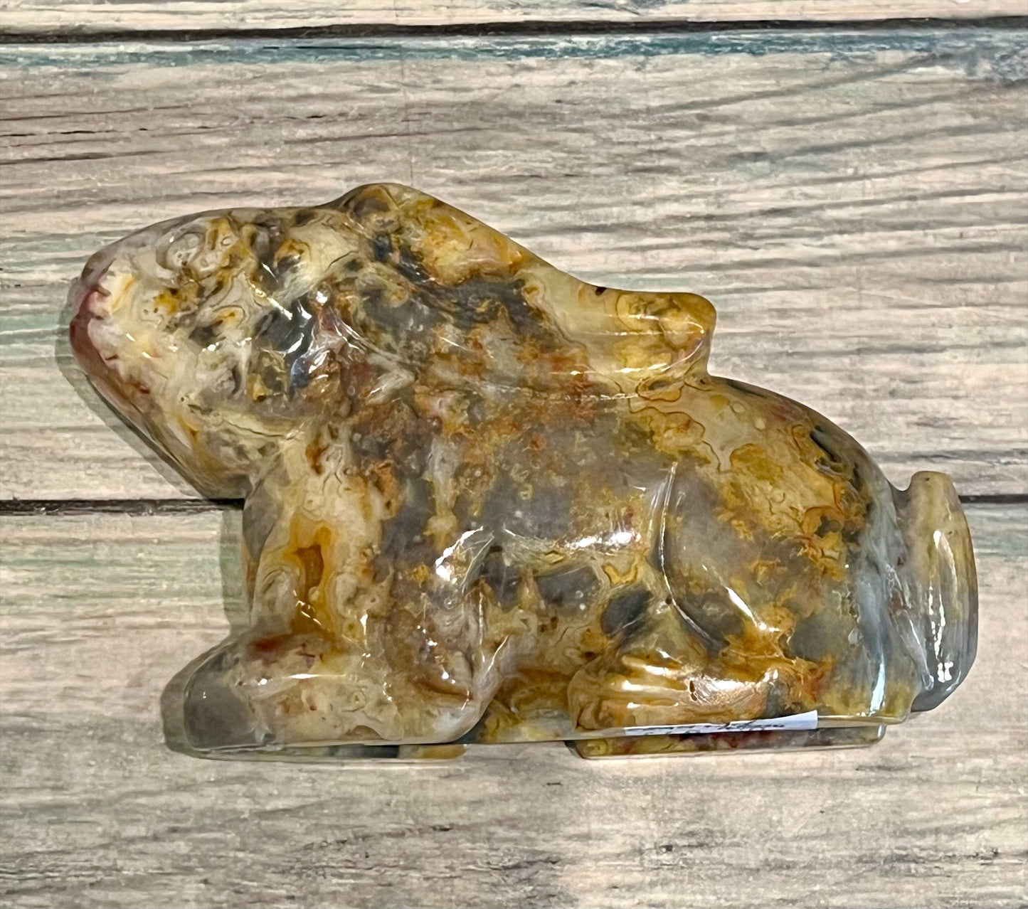 Crazy Lace Agate Hare