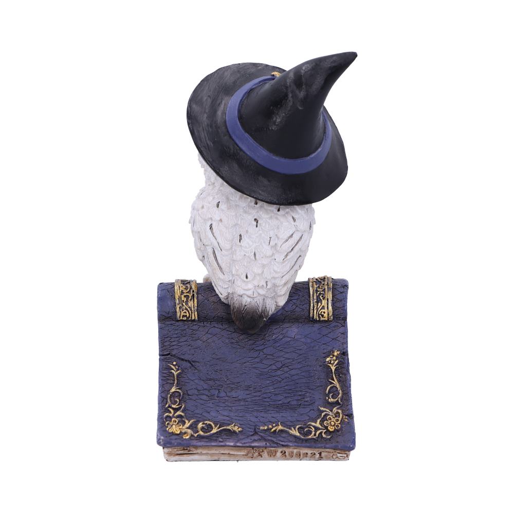 Avian Blue12.5cm