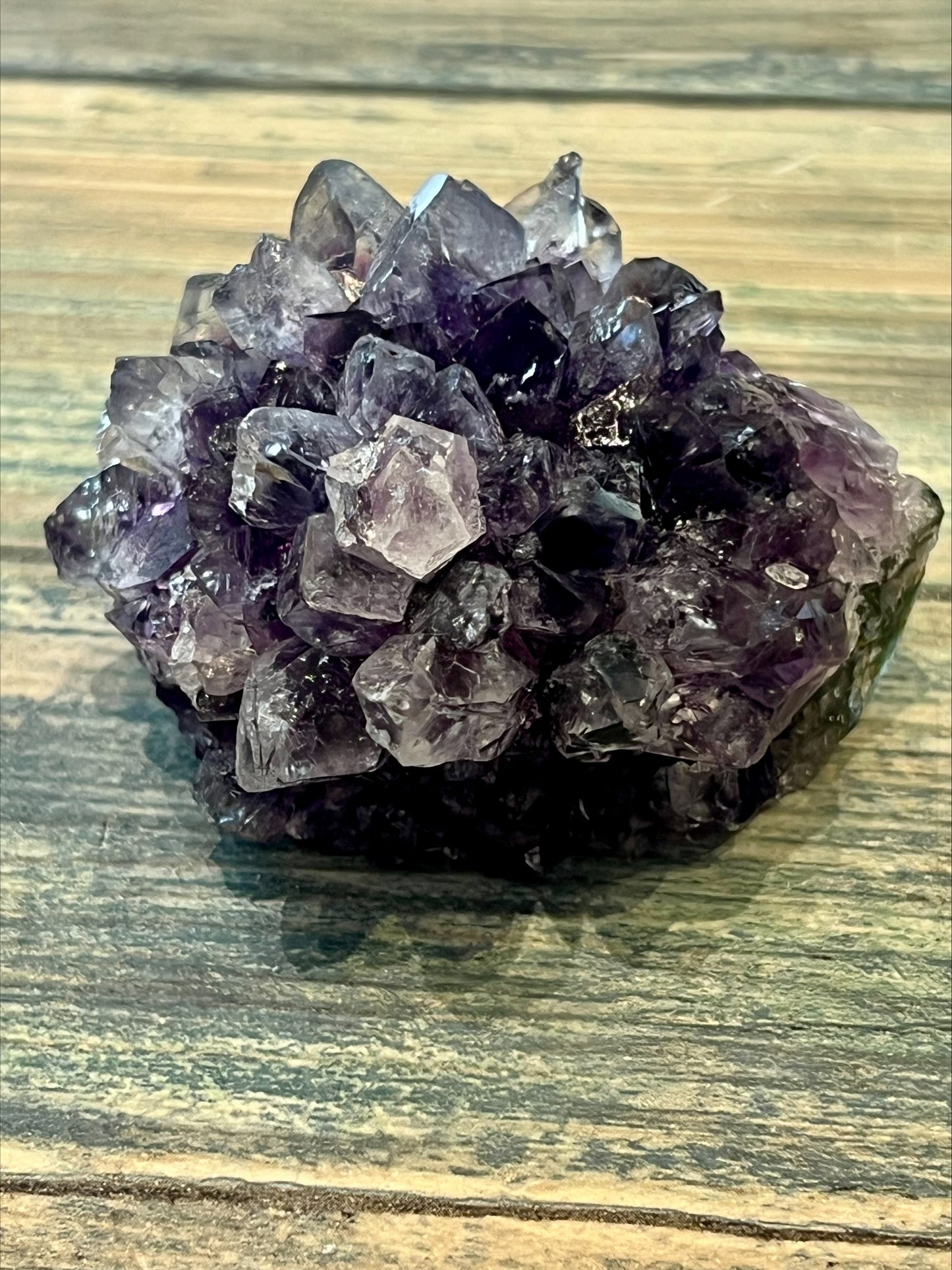 Amethyst Pine