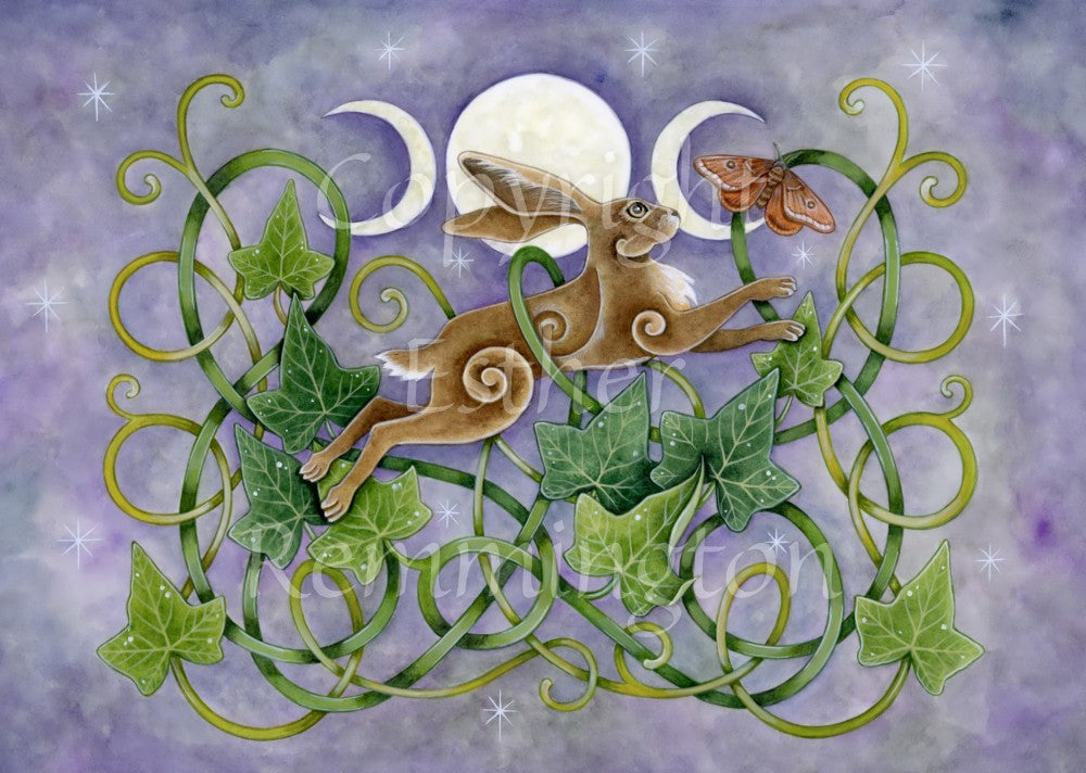 Luna Hare