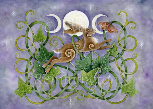 Luna Hare