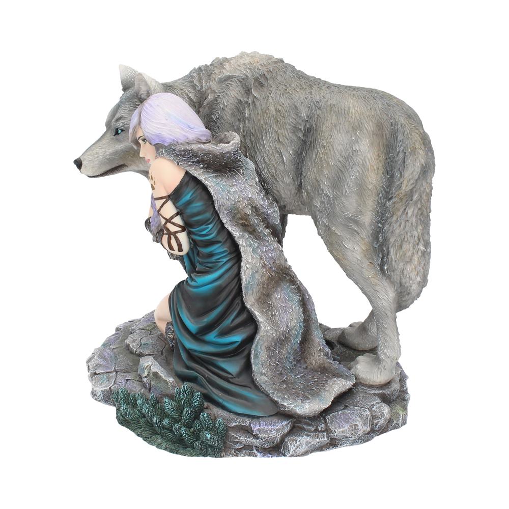 Protector (limited edition) 25cm