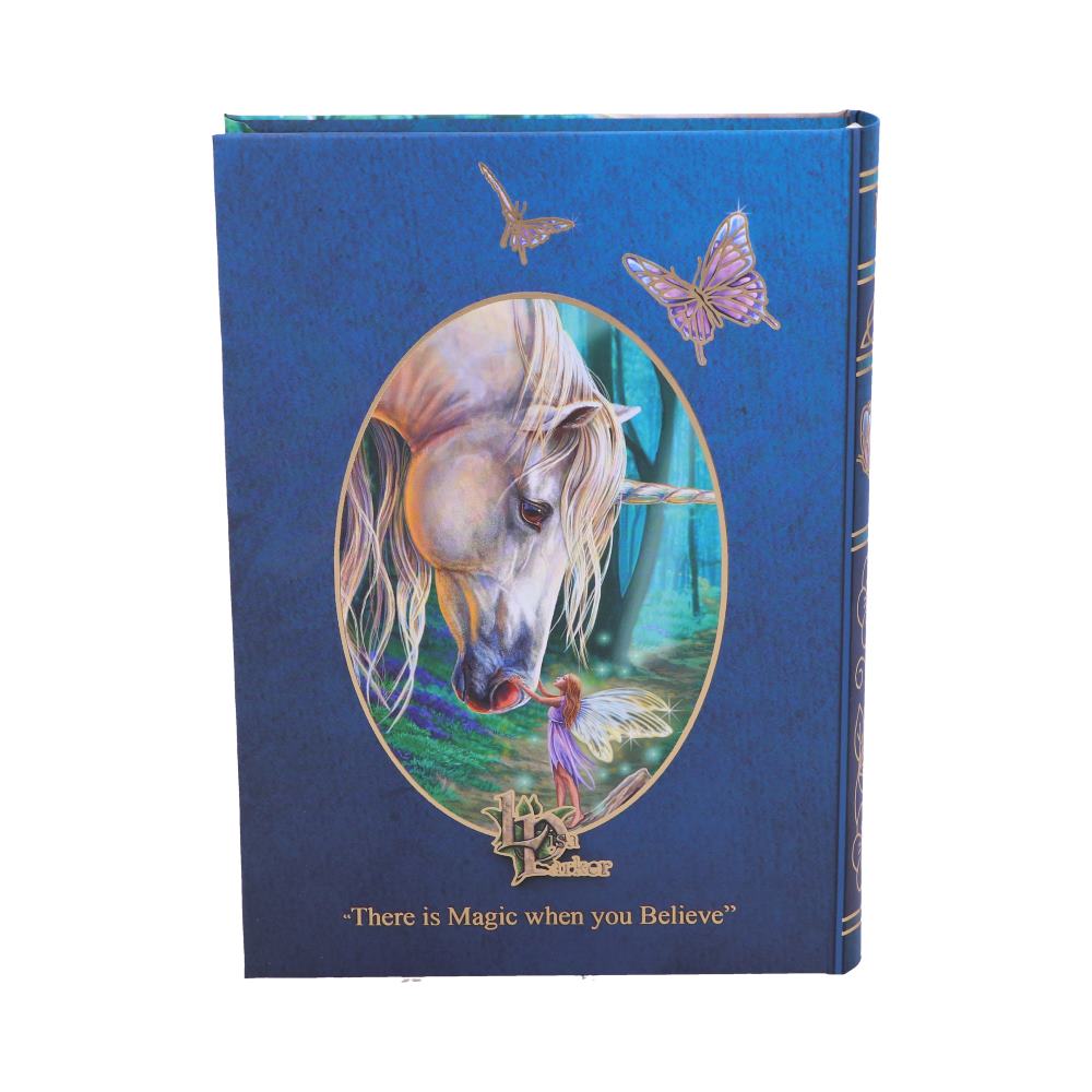 Journal - Fairy Whispers 17.5cm