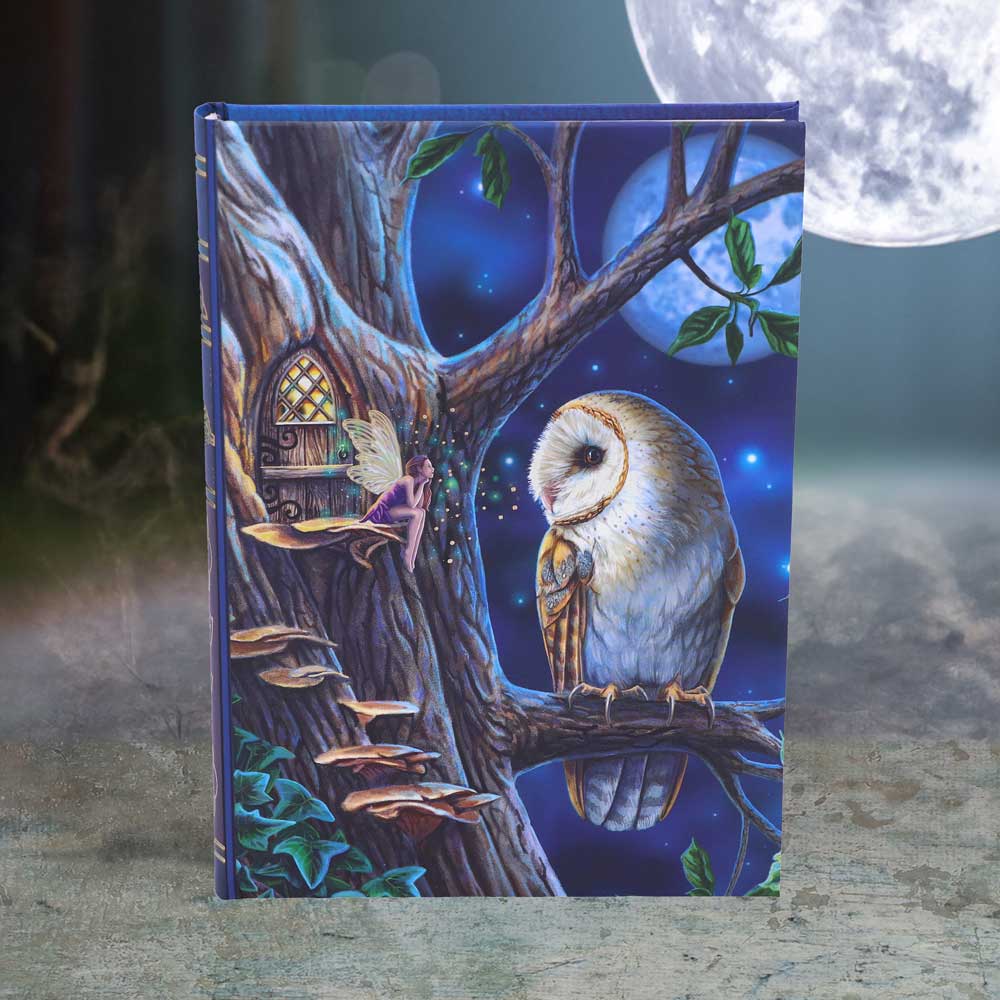 Fairy Tales Notebook