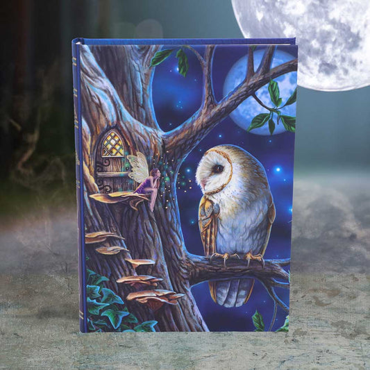 Fairy Tales Notebook