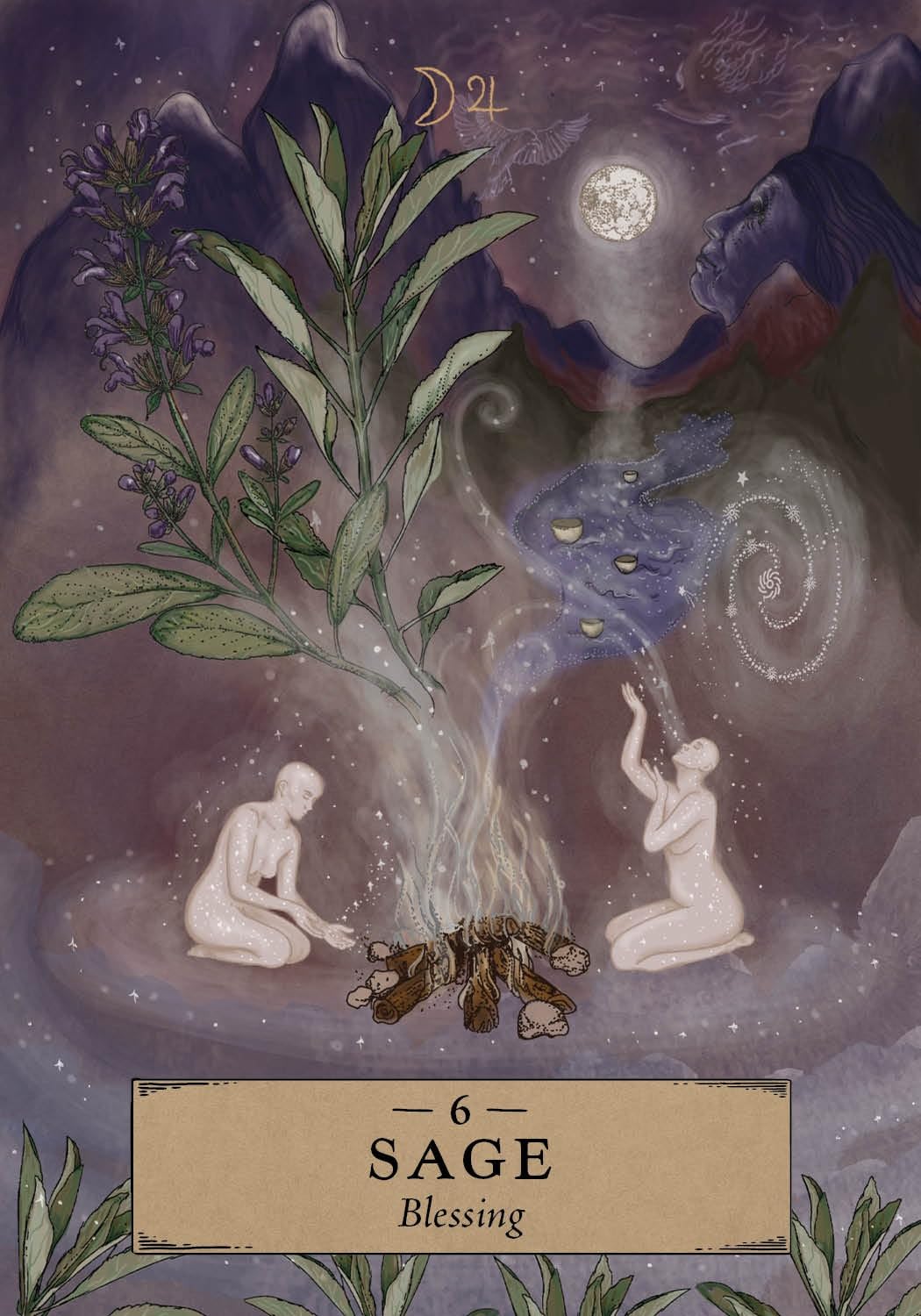 Herbal Astrology