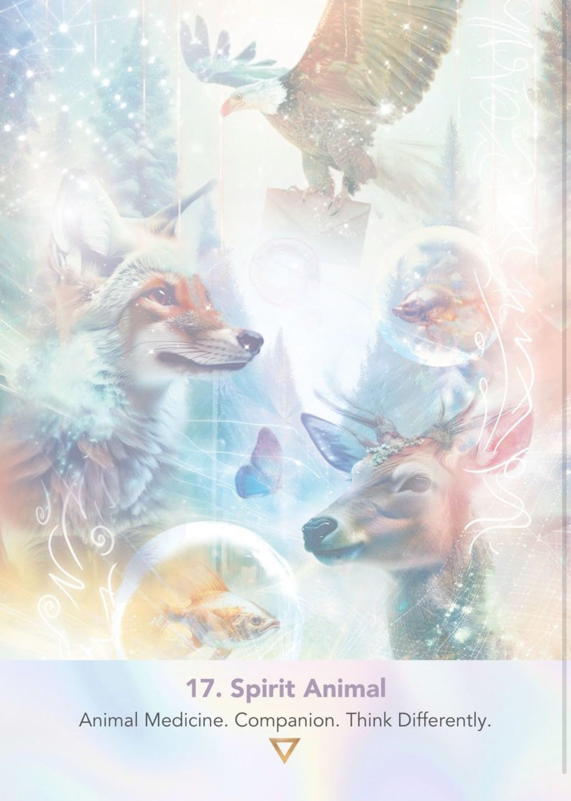 Lightweb Oracle Deck