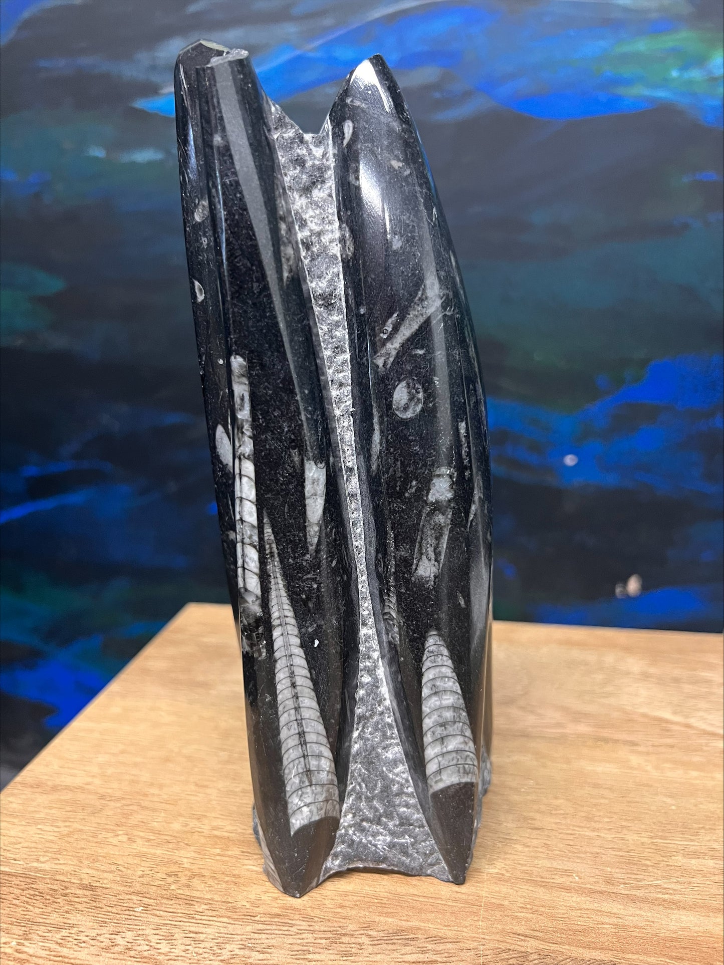 Orthoceras Fossil Sculpture