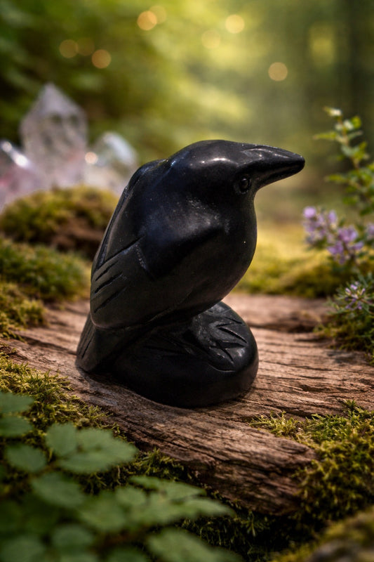 Obsidian Raven