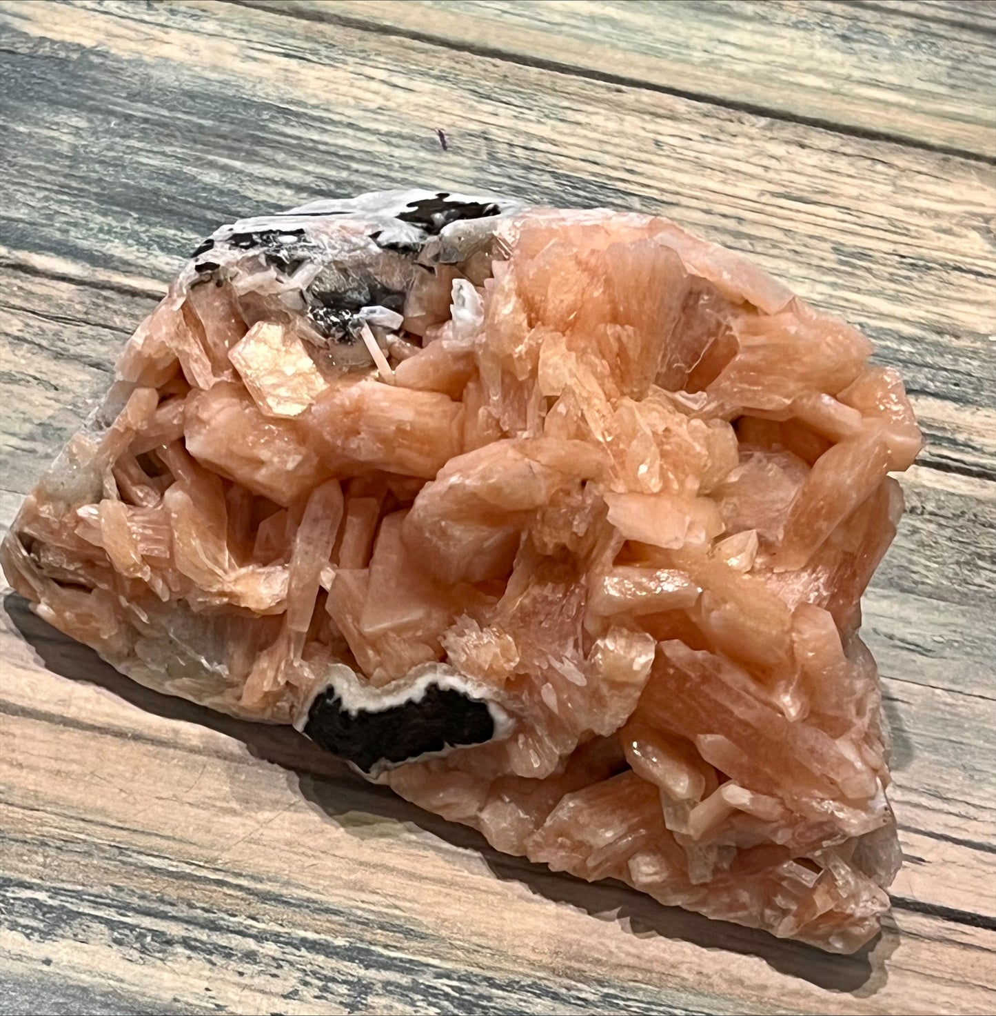 Peach Stillbirth- Raw